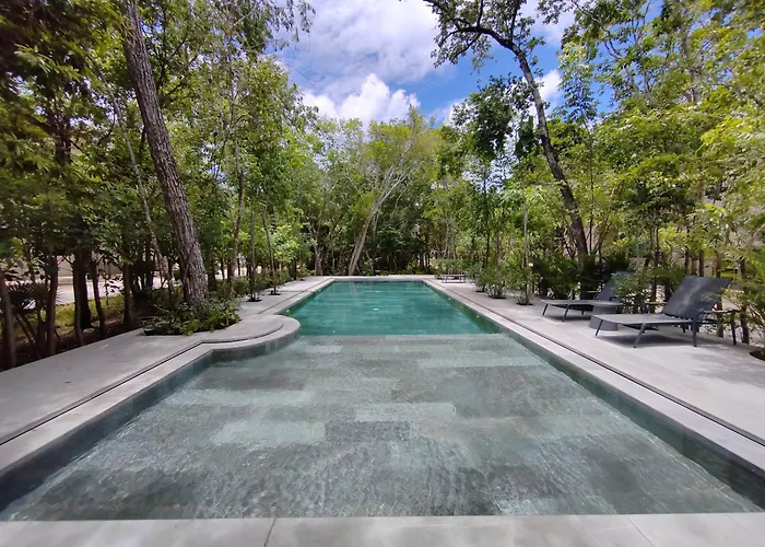 Wonderful House In The Enigmatic Jungle By Yeah *